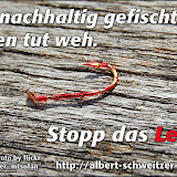 Plakate & Poster