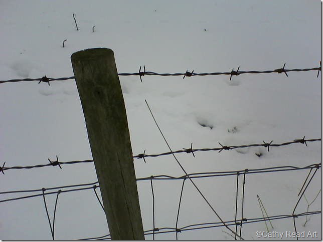 DSC00095 DSC00095
