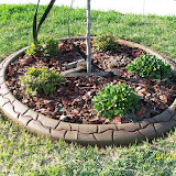 100_0227.JPG