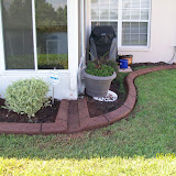 Jeffs pictures 576.jpg