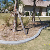 Jeffs pictures 276.jpg