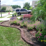 Jeffs pictures 693.jpg