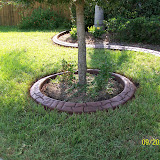 Jeffs pictures 884.jpg