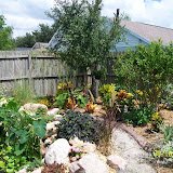 Jeffs pictures 865.jpg