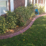 red paver/gray / spanish texture