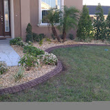 IMAG0248.jpg
