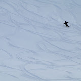 alpe2010-52.JPG