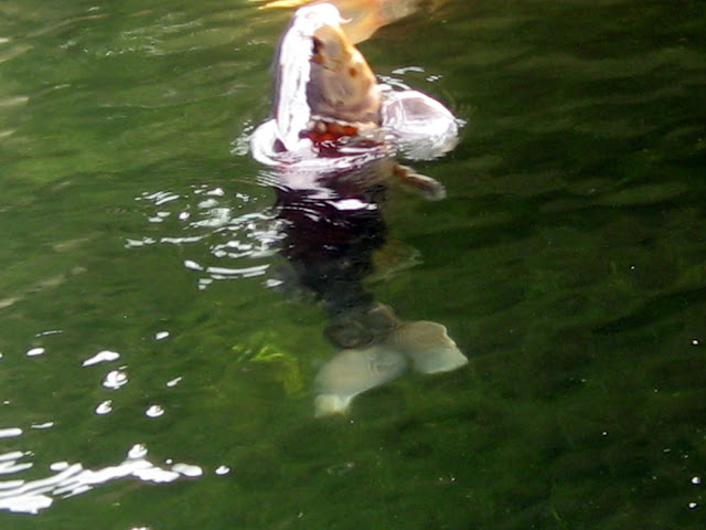 [IMG_5484.JPG]