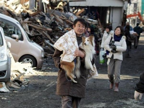 [japonia dupa catastrofa[11].jpg]