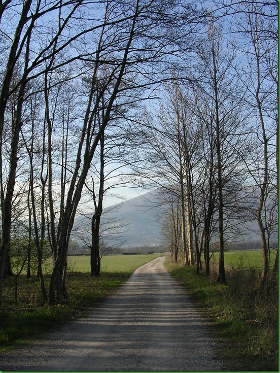 DSCN1914