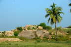 DSC_8081.jpg