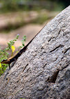 DSC_8177.jpg