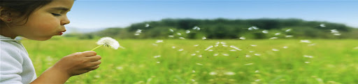 header-photo
