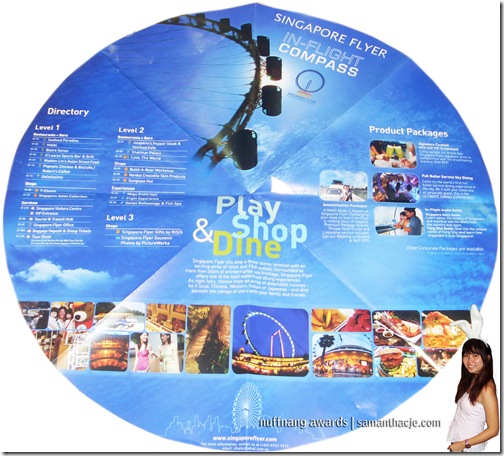 Sg Flyer
