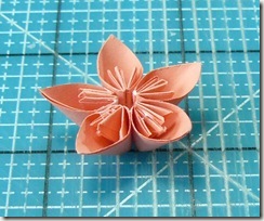 Flowers  (14)