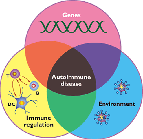 [image[9].png]