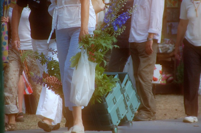 [Hampton Court Flower Show 2010 136[1].jpg]