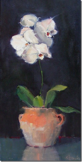 Graceful 24 x 12 1850
