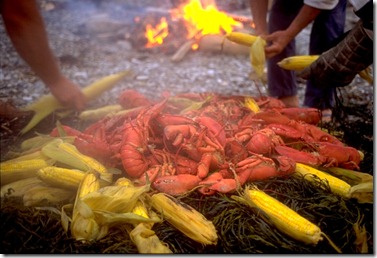 Maine Lobster Bake