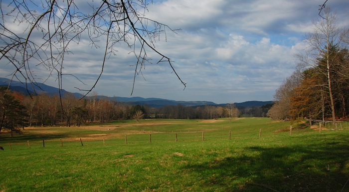 view copy