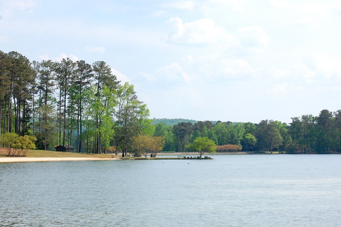 [robin lake copy[2].jpg]