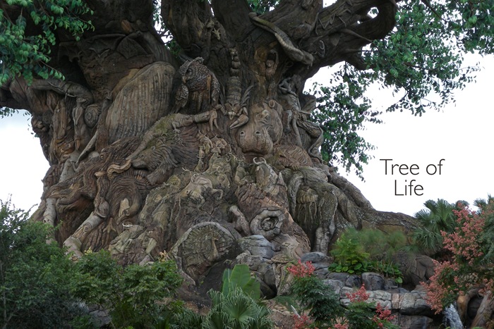 [tree of life[3].jpg]