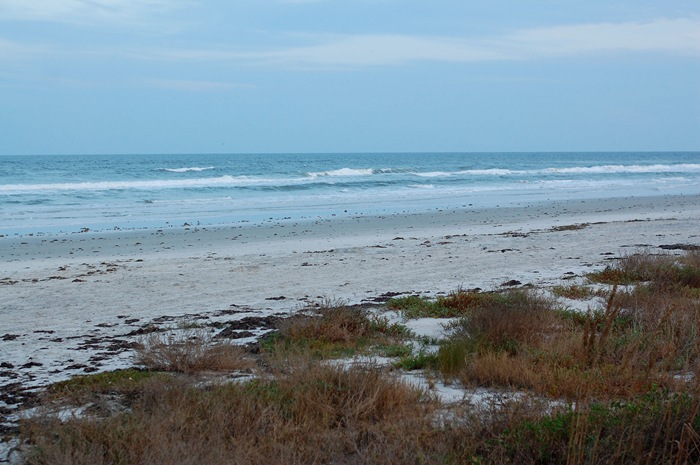 the beach