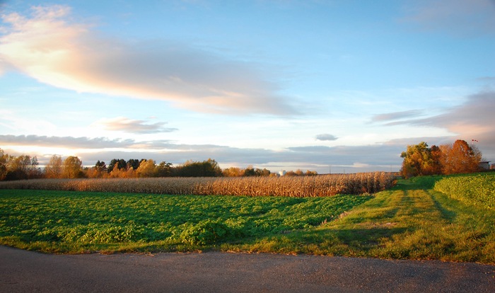 [view1[2].jpg]