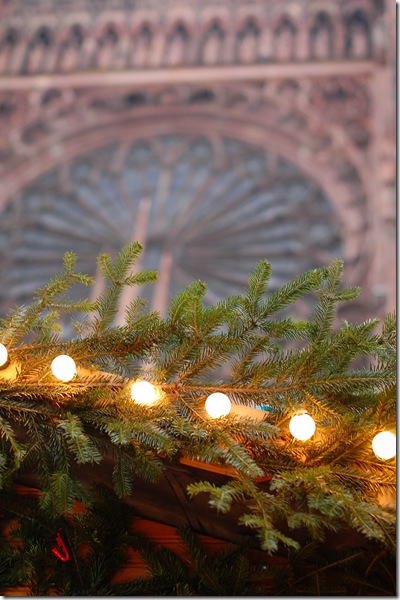 lights_