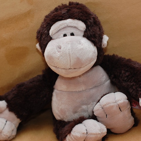 [Megan's monkey[2].jpg]