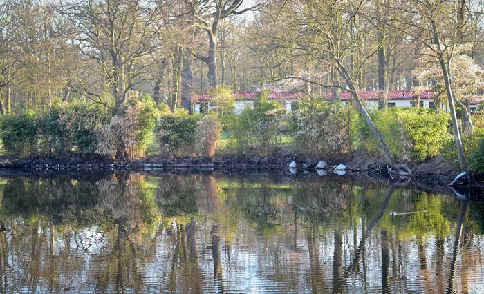 [trailerparkpond4.jpg]