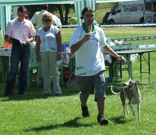 http://lh4.ggpht.com/_1EBSUFdVc0A/THUnFu74KfI/AAAAAAAAAiU/_b3TsH3WXvc/20100820.jpg