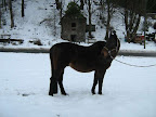 winter 09 - 10 - 9.jpg