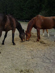 DSC07675.jpg