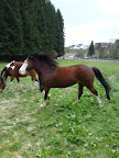 DSC07746.jpg
