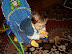 zacne buciki, w smaku zacne :)