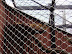 P5110030.JPG