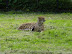 P5110109.JPG