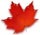 [Maple_Leaf_TN7.jpg]
