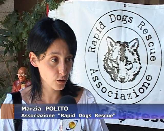 responsabile.png