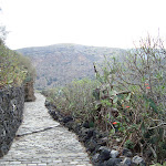 Caldera de Bandama und Pico de Bandama