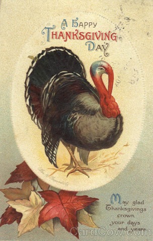 [thanksgiving turkey[11].jpg]