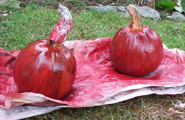 [painted pumpkin two small red[3].jpg]