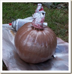 painted pumpkin bronze painted pumpkin bronze
