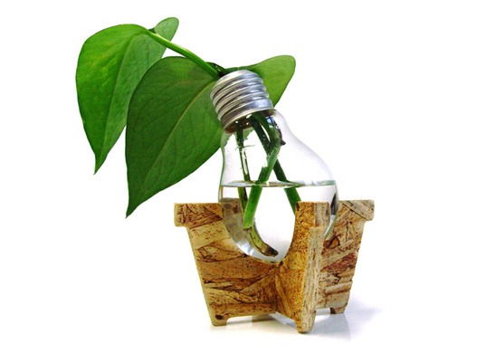 [Green Idea Bulb[5].jpg]