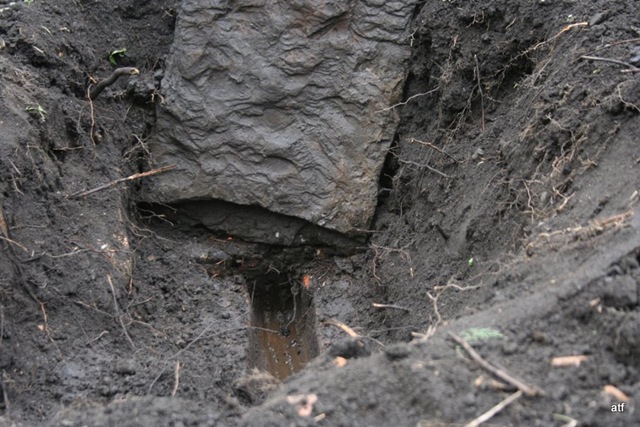 [dRAIN hOLE 5[6].jpg]