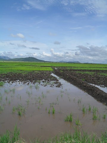 [SDC100462.jpg]