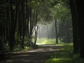 DSCN7202.jpg