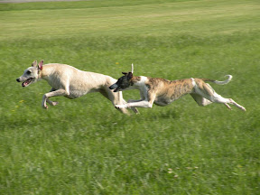DSCN7203.jpg