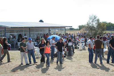 Centenares de grupos conversando animadamente